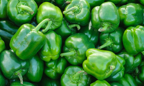 క్యాప్సికమ్‌తో ఎలర్జీ బలదూర్..!