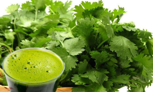 కిడ్నీ సమస్యలను దూరం చేసే కొత్తిమీర కషాయం కిడ్నీ సమస్యలను దూరం చేసే కొత్తిమీర కషాయం