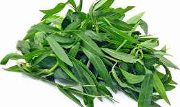 ఆ ఆకుకూర తింటే ఆయుష్షు పెరుగుతుందా..!