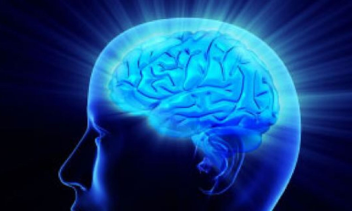 మెుదడు చురుగ్గా ఉండాలంటే