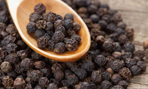 నల్లమిరియాలు దివ్యౌషధం