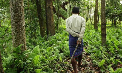 ఫారెస్ట్‌ అధికారులను అడ్డుకున్న గిరిజనులు