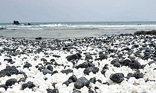 పాప్ కార్న్ బీచ్ లో ఎంజాయ్ చేయాలనుకుంటే..