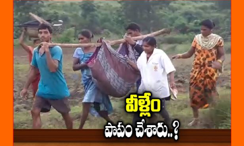 మన్యంలో మెరుగైన వైద్యం అందించాలని వైద్యాధికారులకు కలెక్టర్‌ ఆదేశం:hmtv ఇంపాక్ట్‌