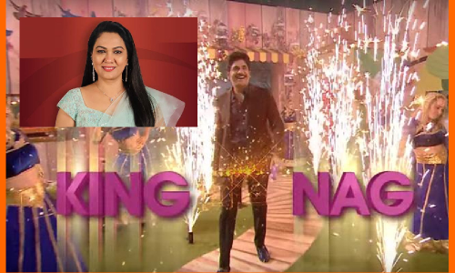 బిగ్‌బాస్‌3 లోకి పునర్నవి భూపాలం, హేమ