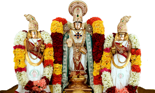 ఆగ‌స్టులో క‌ర్నూలు, అనంత‌పురం జిల్లాల్లో శ్రీనివాస కల్యాణాలు