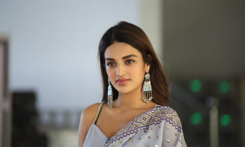 నిధిఅగర్వాల్ లేటెస్ట్ పిక్స్ ...