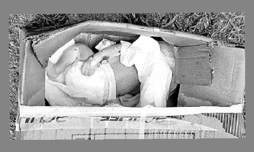 అట్టపెట్టెలో శిశువు