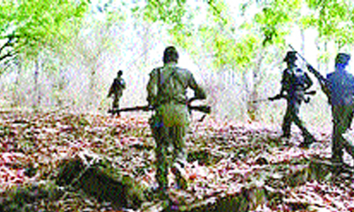 ఎదురుకాల్పుల్లో న్యూడెమోక్రసీ దళ సభ్యుడు మృతి