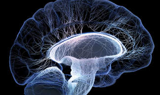 మెుదడుకు శక్తిని ఇచ్చే  బంగాళాదుంప