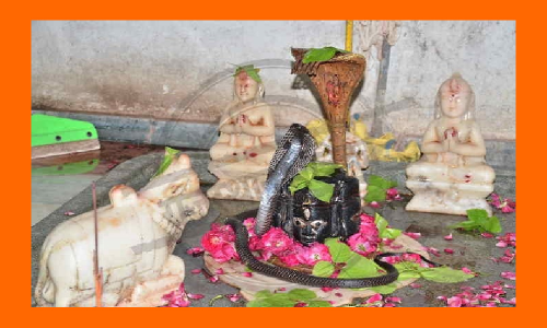 నందివిగ్రహం ముందు పడగ విప్పి నాట్యం చేసిన నాగుపాము