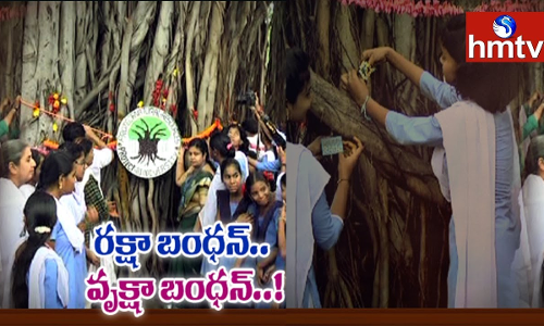 వృక్షా బంధన్..చెట్లకు రాఖీలు కడుతున్న పర్యావరణ ప్రియులు