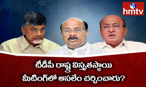టీడీపీ మీటింగ్‌లో అసలేం చర్చించారు?