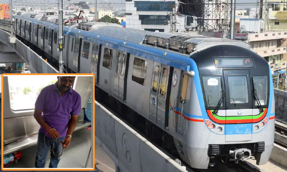 మెట్రో రైల్లో పాము.. ఐదు రోజులకి దొరికింది! మెట్రో రైల్లో పాము.. ఐదు రోజులకి దొరికింది!
