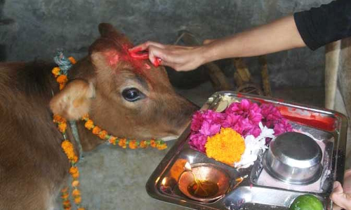 గోవును పూజిస్తే దోషాలు తొలగిపోతాయా?