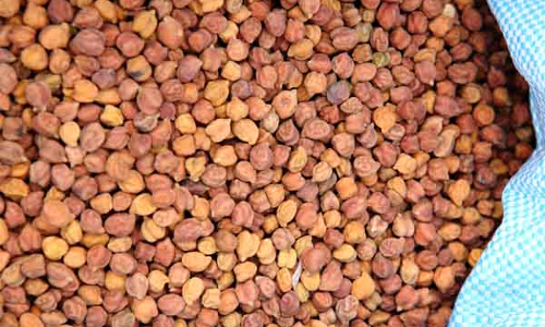 శనగలు తినండి బరువు తగ్గంచుకోండి..