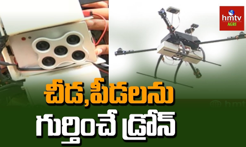 డ్రోన్లతో పంటలకు పరీక్షలు డ్రోన్లతో పంటలకు పరీక్షలు