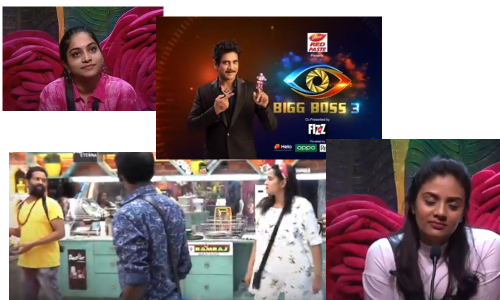 బిగ్ బాస్ 3 ఎపిసోడ్ 34 : పుల్లలు పెట్టి వినోదం చూస్తున్న బిగ్ బాస్