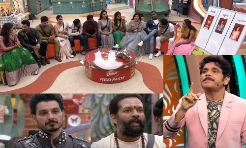 బిగ్ బాస్ 3 ఎపిసోడ్ 35: పిచ్చి పీక్స్..ఈగకు సంతాపం!