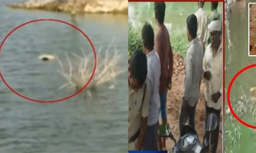 కృష్ణాజిల్లా మర్లపాలెంలో విషాదం కృష్ణాజిల్లా మర్లపాలెంలో విషాదం