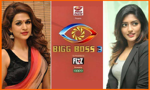 బిగ్ బాస్ 3 తెలుగు: ఈ భామల్లో ఒకరు వైల్డ్ కార్డ్ ఎంట్రీ ఇస్తారా?