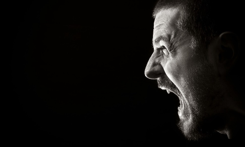 ఆవేశం అన్ని వేళల మంచిది కాదు.