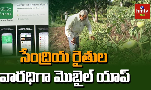సేంద్రీయ రైతు వారధిగా మొబైల్ యాప్ సేంద్రీయ రైతు వారధిగా మొబైల్ యాప్