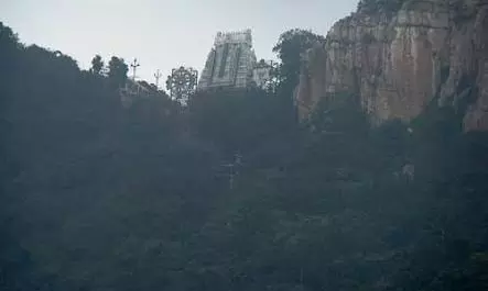 సప్తగిరులు... సమ్మోనసిరులు... ఓం నమో వేంకటేశాయ