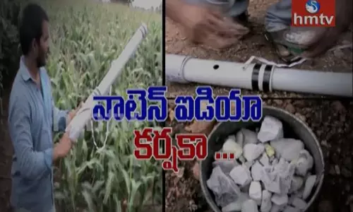 ఒక్క ఐడియా..పందులు పరార్..కోతులు జంప్.. ఒక్క ఐడియా..పందులు పరార్..కోతులు జంప్..