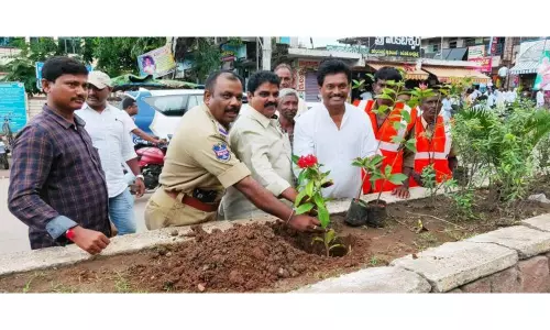 వరంగల్ రూరల్ జిల్లా పరకాల పట్టణంలో తెలంగాణకు హరితహారం