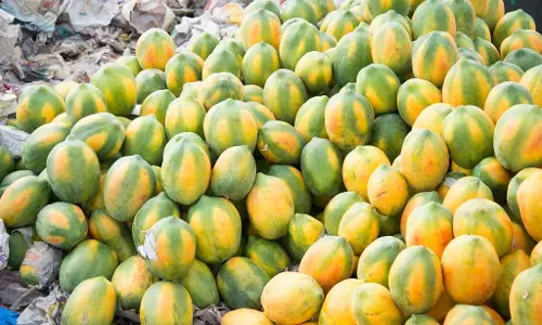 రైతులుపై దళారుల దాడి...పండ్ల మార్కెట్ లో ఉద్రిక్తత రైతులుపై దళారుల దాడి...పండ్ల మార్కెట్ లో ఉద్రిక్తత