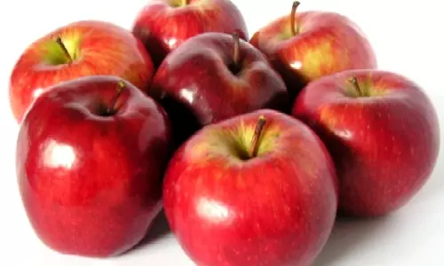 యాపిల్ తింటే ఆ నొప్పుల నుండి ఉపశమనం..