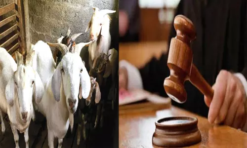 జంతు బలులపై త్రిపుర హైకోర్టు సంచలన తీర్పు