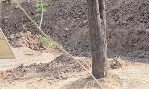 ఈ ఫోటోలో చిరుతను కనిపెట్టగలరా