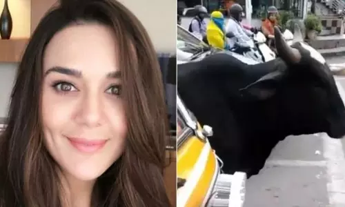 గోవును చూసి ఫిదా అయినా ప్రీతీ జింటా... వైరల్ వీడియో