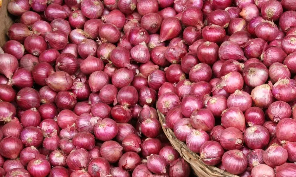 ఉల్లి ధరల నియంత్రణకు కేంద్రం కీలక నిర్ణయం! ఉల్లి ధరల నియంత్రణకు కేంద్రం కీలక నిర్ణయం!