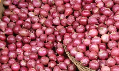 ఉల్లి ధరల నియంత్రణకు కేంద్రం కీలక నిర్ణయం!