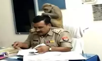 ఉత్తరప్రదేశ్‌ పోలీస్‌ స్టేషన్‌లో వానరం హల్‌చల్‌