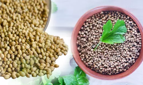 Coriander Powder: ధనియాలతో ఆ సమస్యలు దూరం చేసుకోవచ్చు.. Coriander Powder: ధనియాలతో ఆ సమస్యలు దూరం చేసుకోవచ్చు..