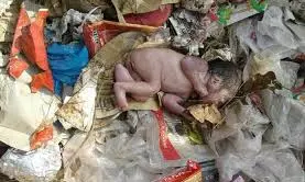 పాపం.. చిట్టితల్లి ! పాపం.. చిట్టితల్లి !