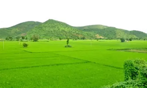 ఇది కోనసీమ కాదు రాయలసీమ