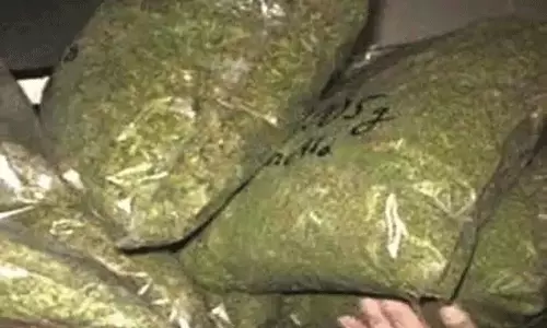 విశాఖ జిల్లాలో భారీగా గంజాయి పట్టివేత