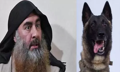 ఐసిస్‌ చీఫ్‌‌ను వేటాడింది ఈ కుక్కే.. కుక్కచావు చచ్చాడన్న ట్రంప్