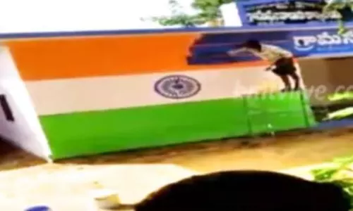 జాతీయపతాకంపై వైసీపీ రంగులు