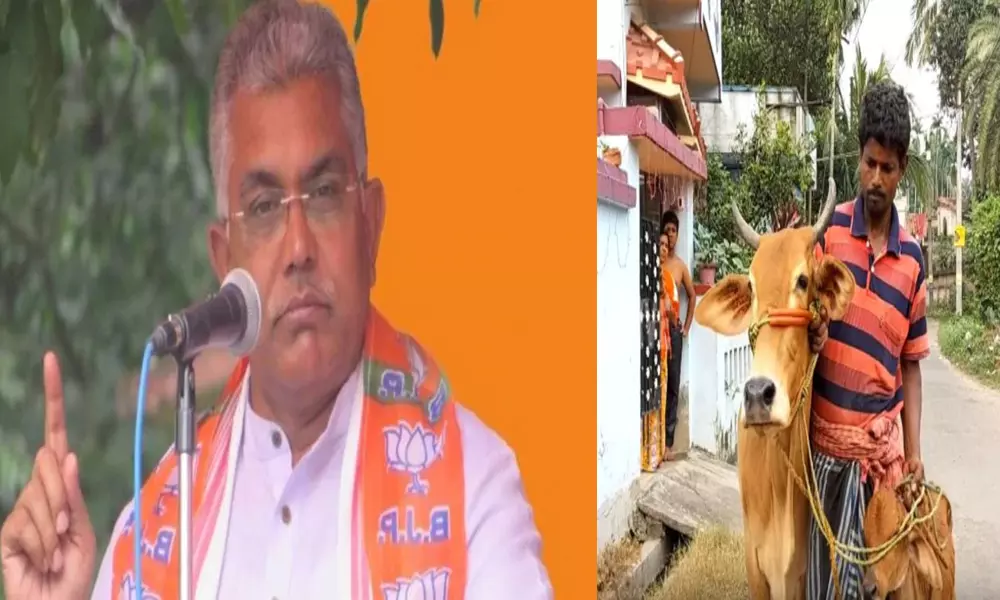 Dilip Ghoshs statement that Indian cows milk contains gold