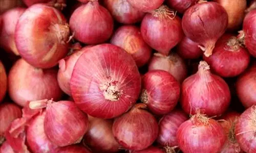 ఏపీలో 70 ఉల్లి ట్రేడర్స్ పై విజిలెన్స్ దాడులు ఏపీలో 70 ఉల్లి ట్రేడర్స్ పై విజిలెన్స్ దాడులు