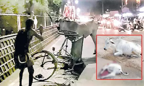 పేగుబంధం పగబట్టడం అంటే ఇదేనేమో పేగుబంధం పగబట్టడం అంటే ఇదేనేమో