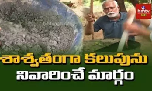 శాశ్వతంగా కలుపును నివారించే మార్గం శాశ్వతంగా కలుపును నివారించే మార్గం