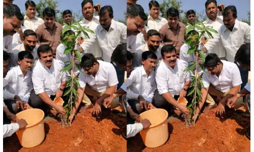 క్యాంపు కార్యాలయంలో గ్రీన్ ఛాలెంజ్