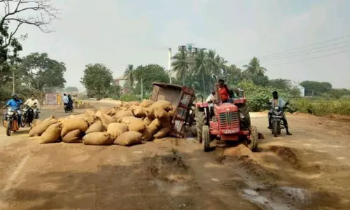 ధాన్యం లోడుతో వెళుతున్న ట్రాక్టర్ బోల్తా